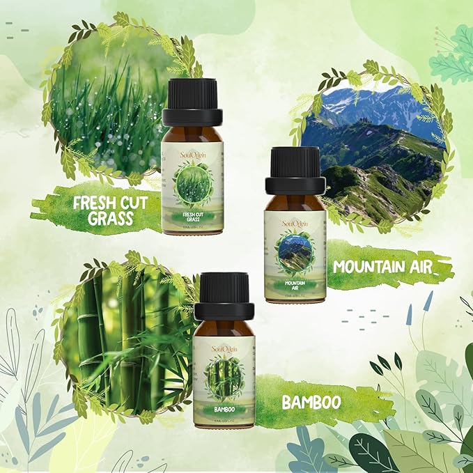 Nature Fragrance Oils Set, Essential Oil Gift Set for Diffuser, Natural Scent Diffuser Oil for Candle Making-Fresh Cut Grass, Mountain Air, Bamboo, Ocean Breeze, Fresh Lotus Leaf, White Tea - Bloomnest