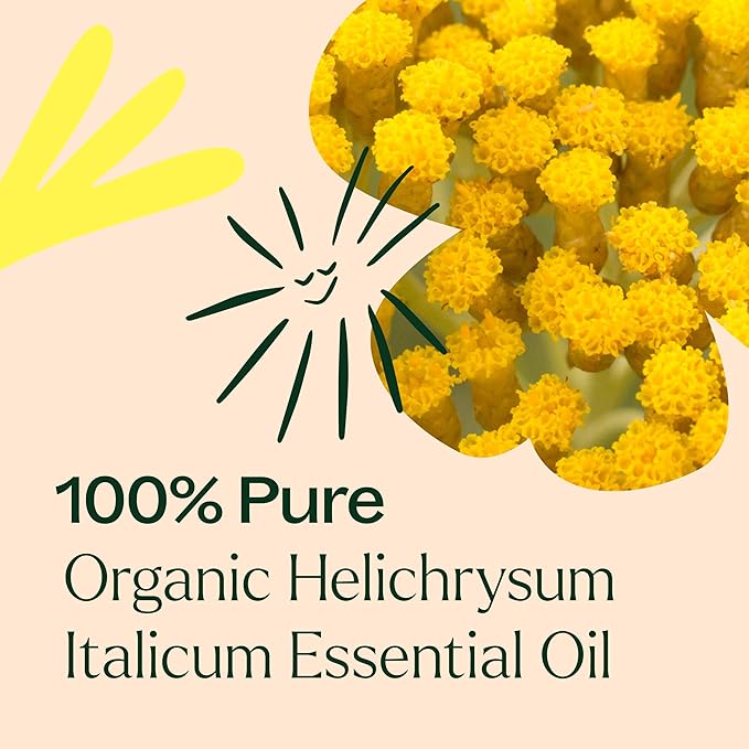 Plant Therapy Organic Helichrysum Italicum Essential Oil 100% Pure, USDA Certified Organic, Undiluted, Natural Aromatherapy, Therapeutic Grade 5 mL (1/6 oz) - Bloomnest