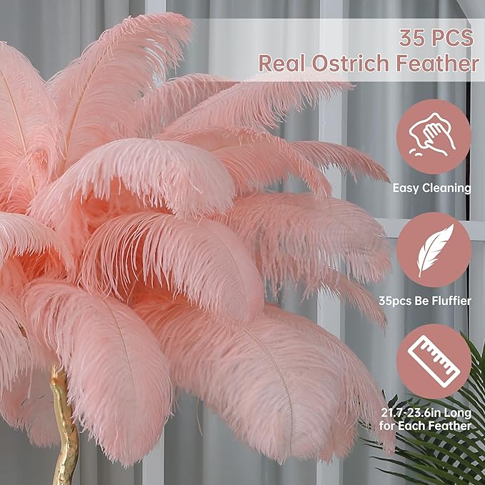MAYOLA Luxury Resin Ostrich Feather Lamp, 35 Pieces Real Ostrich Feathers,Floor Light for Living Room, Bedroom and Office 67” Tall Feather Lamp(Pink, Floor Lamp) - Bloomnest