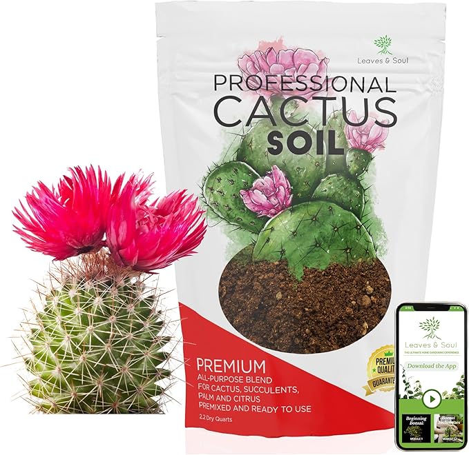Professional Cactus Soil | Large 2.2 Quarts Ready to Use for Cactus Plants | Peat Moss, Coco Coir, Perlite, Dolomite | Made in USA - Bloomnest