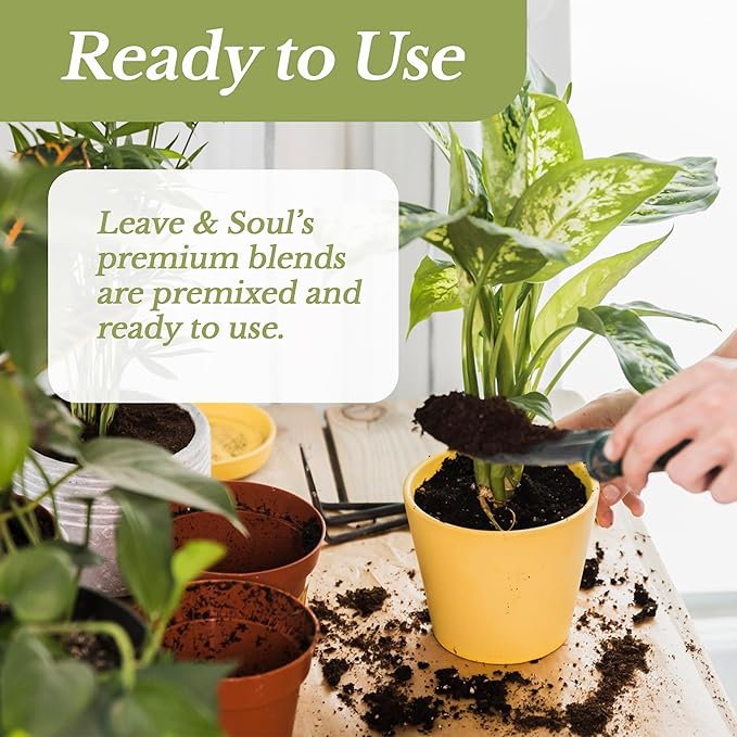 Orchid Soil Premium All Purpose Blend | Large 2.2 Quarts | Ready to Use for Orchids, Bromeliads, Epiphytic Plants | Lava, Calcined Clay and Pinebark | Made in USA - Bloomnest