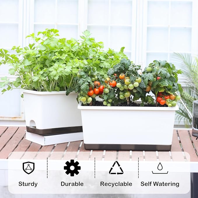 Window Box Planter 6 Pcs, 17 Inches Rectangle Flower Pots with Drainage Holes and Trays, Vegetable Planters for Windowsill Patio Garden Balcony Home Porch Yard Indoor Outdoor (White, 17*7.4*7.8 inch) - Bloomnest