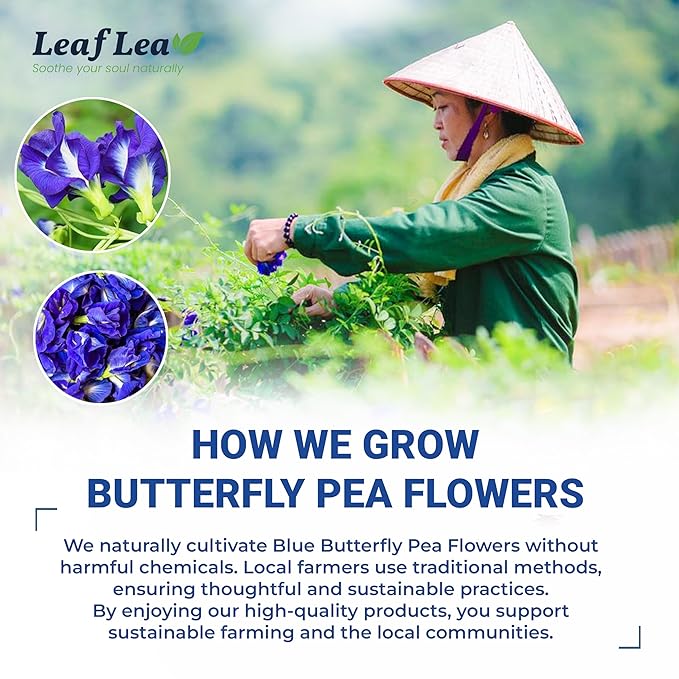 LeafLea 40 Butterfly Pea Flower Tea Bags, Herbal Flower Tea for Relaxation, Mocktails, and Natural Food Coloring, Caffeine-Free, Sugar-Free, Non-GMO - Bloomnest
