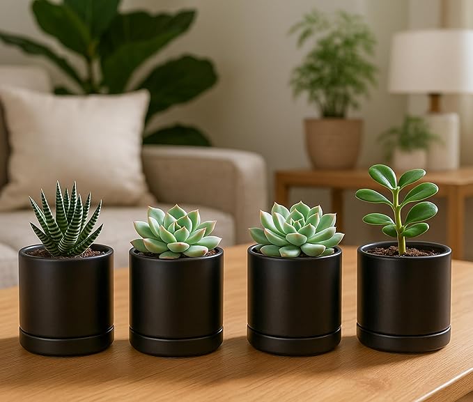 D'vine Dev Set of 4 Small Ceramic Plant Pots, 3.5 Inch Succulent Planter Pot for Plants with Drainage Hole and Saucer, Black, 94-X-A-2 - Bloomnest