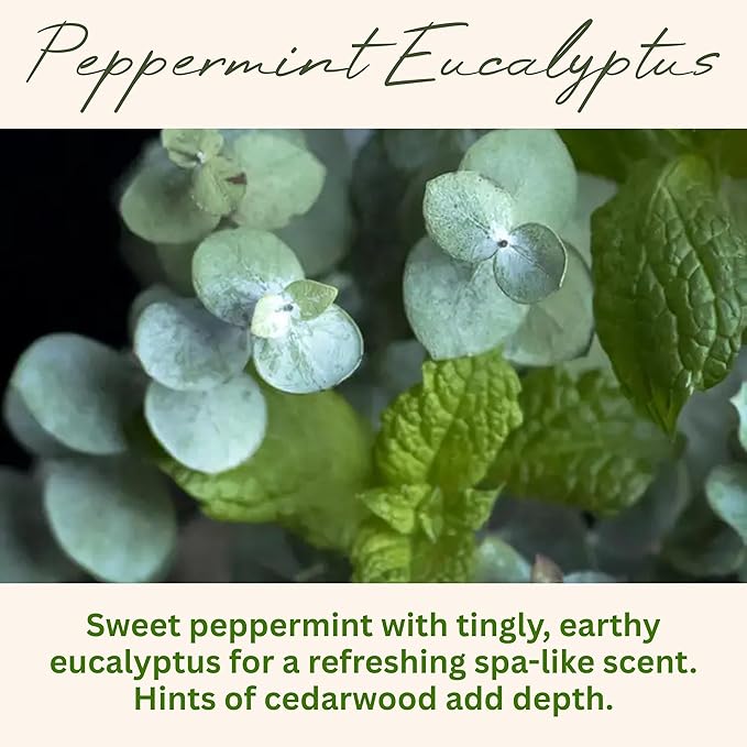 Peppermint Eucalyptus Scented Candle, Many Scents to Choose from, All Natural Non-Toxic Soy Wax, Handmade in The USA(Peppermint Eucalyptus) - Bloomnest