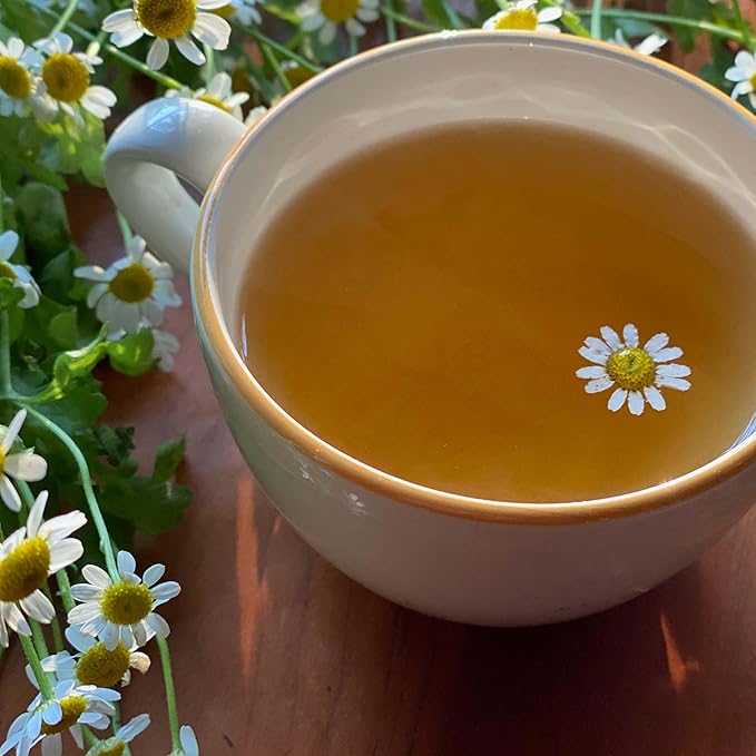 Bigelow Cozy Chamomile Herbal Tea,Caffeine Free Tea with Chamomile Flowers, 100 Count Box (Pack of 1) - Bloomnest