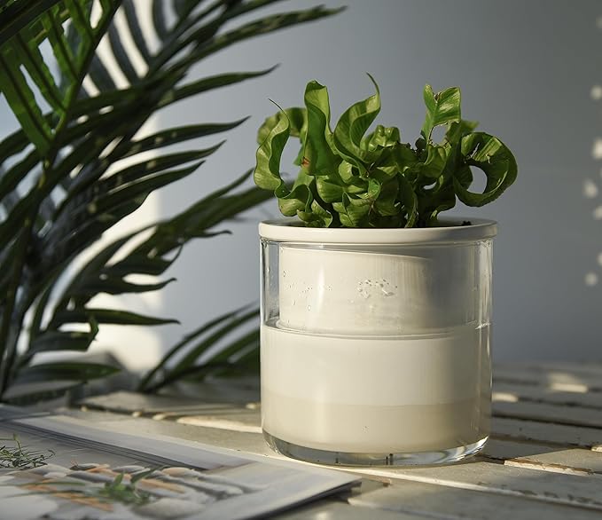 Phoenix Vine 4 Inch Self Watering Planter Pot, Design White Terracotta Pots for Plants, Indoor Cylinder Terra Cotta Pots with Glass Vase, Set of 1, 51-B-E-1 - Bloomnest