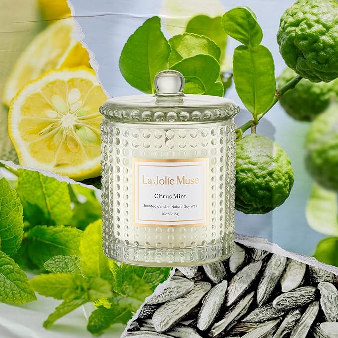 LA JOLIE MUSE Citrus Mint Candle, Summer Candles for Home Scented, Luxury Eucalyptus Candles Gifts for Women & Men, Natural Soy Wax, 75 Hours 10 OZ - Bloomnest