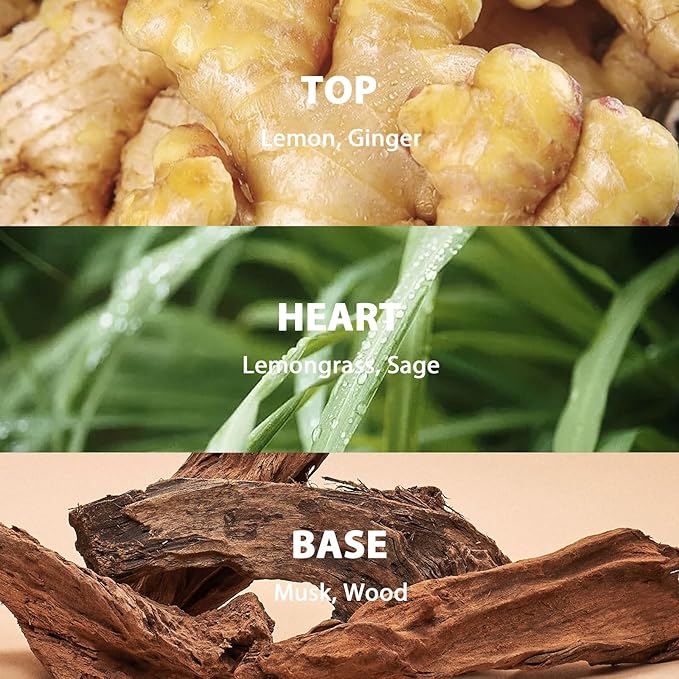 Reed Diffuser Set, 9.85 oz Lemongrass Sage Scented Diffuser with Decorative Card Home Fragrance Reed Diffuser for Bathroom Shelf Decor, Ideal Gift for Woman