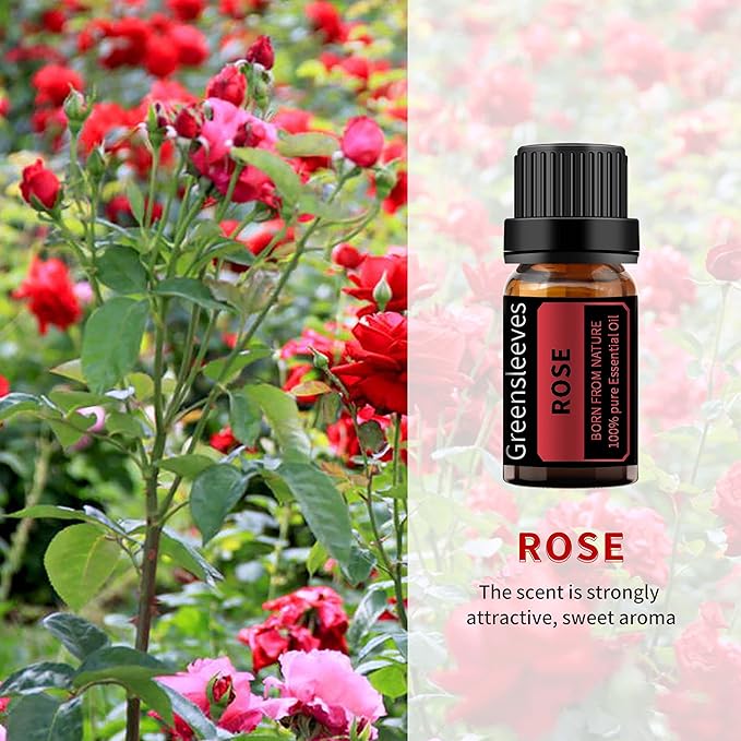 GREENSLEEVES Rose and Tea Tree Essential Oil Set, 2 x 10ml Pure Plant-Based Fragrance Oil for Aromatherapy, Essential Oils for Diffuser, Massage, Bath Bomb, Scented Candle Soap Making GREENSLEEVES