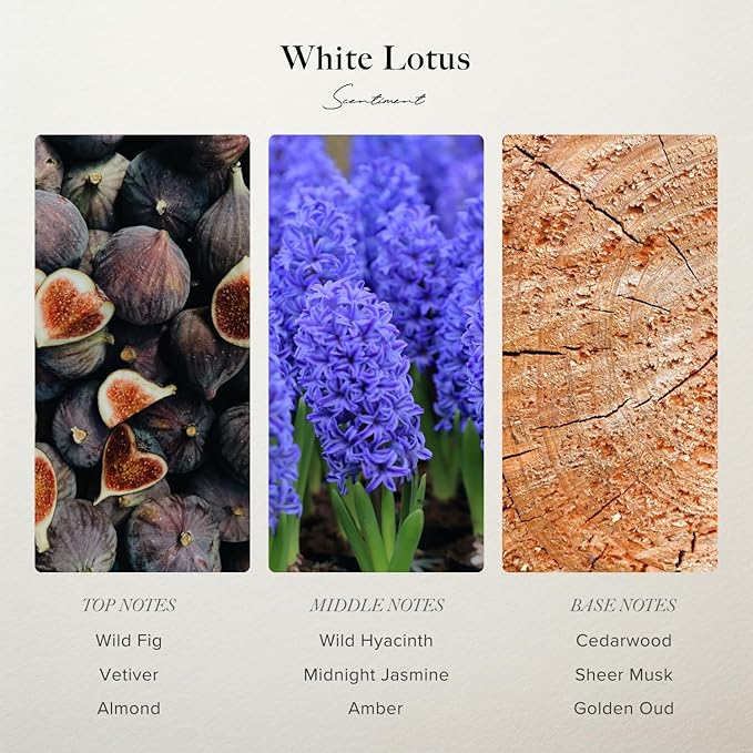 Scentiment Diffuser Oil - White Lotus | Aromatherapy Home Fragrance | Inspired by Four Seasons® Hotel | Luxurious Scent with Notes of Wild Fig, Vetiver, Almond, Sandalwood (500 mL) Scentiment