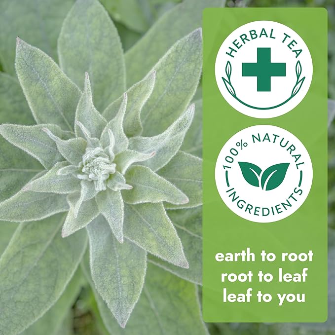 Vital Bloom Mullein Leaf Tea, 120 Tea Bags, 100% Pure Mullein Leaves, support for Lungs Cleanse and Respiratory Support, Bleach Free Tea Bags, Non GMO (Free Tongs Included) - Bloomnest