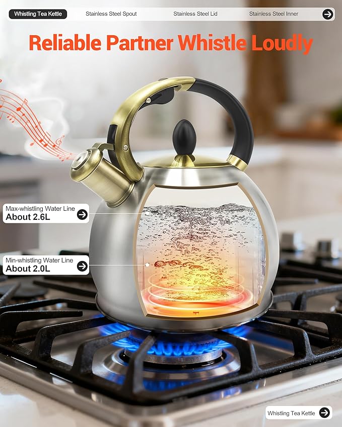 Stove top Whistling Tea Kettle Food Grade Stainless Steel Teapot of 5-layer base for Camping & Kitchen(Brushed, 2.64 Qt) - Bloomnest