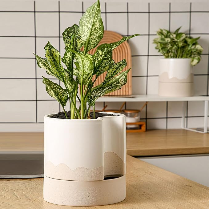 Nihow Self Watering Plant Pot: 8 Inch Ceramic Planter with Drainage Hole & Water Storage Plus for Indoor & Outdoor Plants - Cylinder Round Flower Pot for Succulent/Herbs/Violets - White & Wave Nature - Bloomnest