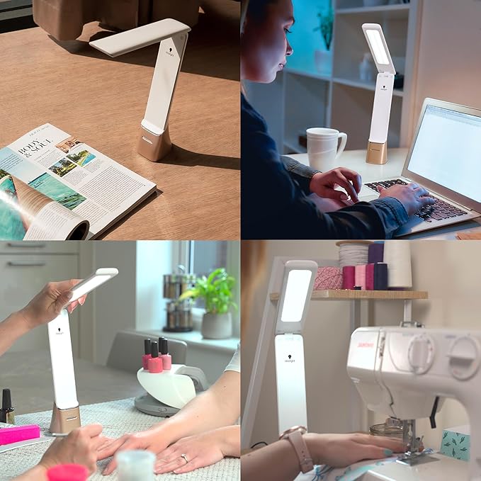 daylight Smart Go Portable Ideal for Reading, Light Therapy, Everyday Tasks, Crafts, Desk Work, DIY, Led, Chargeable lamp, 1 Count (Pack of 1), White - Bloomnest