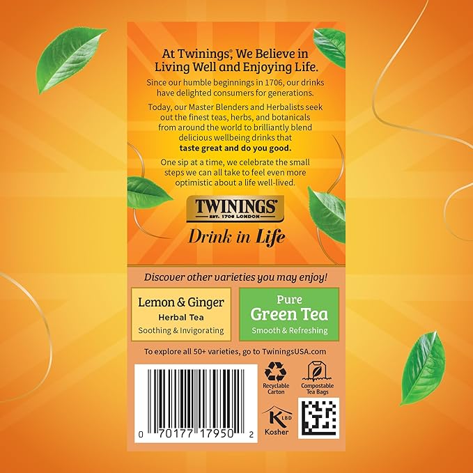 Twinings Orange & Cinnamon Spice Herbal Tea Individually Wrapped Bags, 20 Count (Pack of 4), Naturally Caffeine-Free, Enjoy Hot or Iced, 80 Teabags - Bloomnest