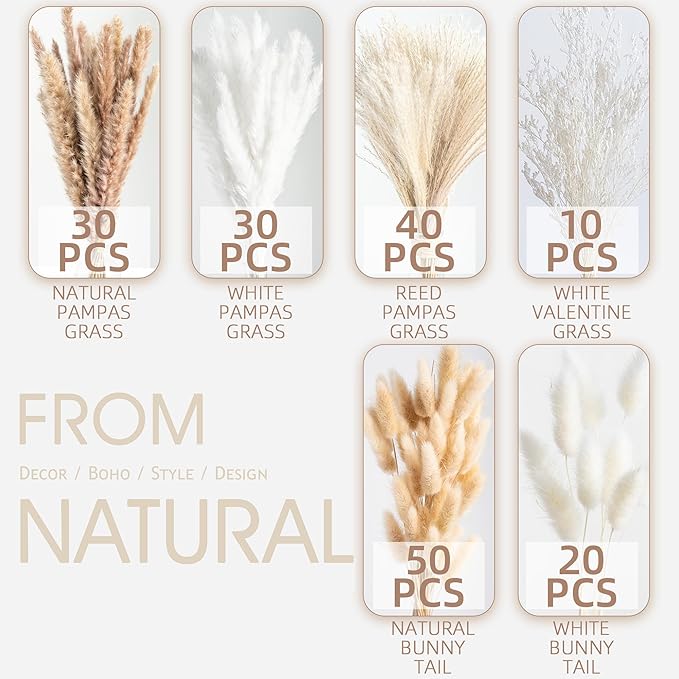 180PCS Natural Dried Pampas Grass Boho Home Decor Bouquet Phragmites Dried Flowers Bouquet for Wedding Floral Arrangements Home Decorations (180PCS) - Bloomnest