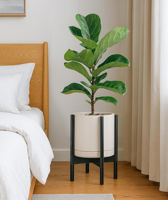D'vine Dev Ceramic Planter with Ebony Stand - 10 Inch Modern Round Flower Pot with Wood Planter Holder, Oatmeal, 55-B-L-8 - Bloomnest
