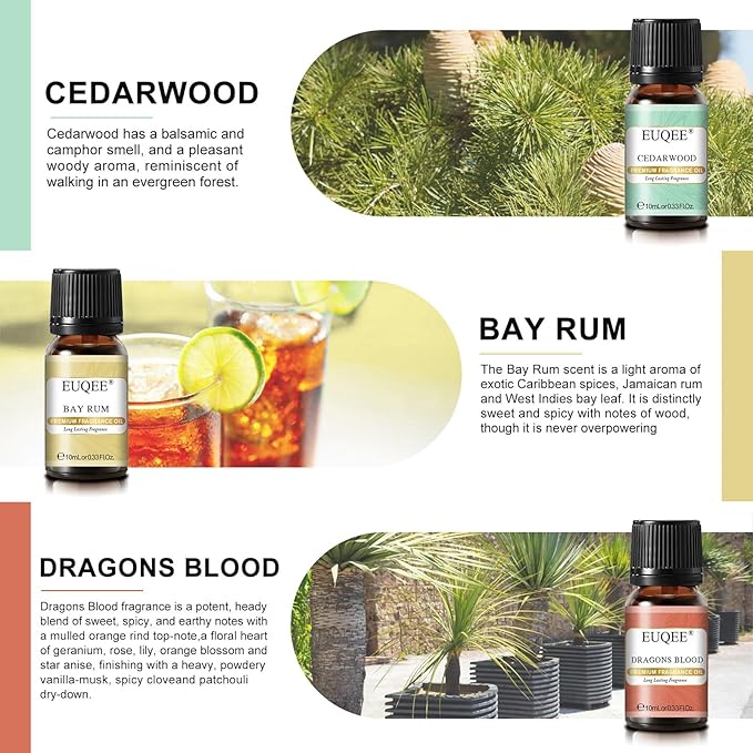 EUQEE 6PCS Fragrance Oils for Men, Men's Pubs Gift Set Premium Fragrance Oils -10ml-Leather, Honeyed Haze, Dragons Blood, Sandalwood, Bay Rum, Cedarwood (Men's Pubs) EUQEE