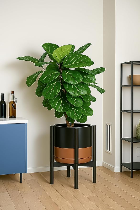 D'vine Dev Ceramic Planter with Ebony Stand - 12 Inch Modern Round Flower Pot with Wood Planter Holder, Black/Speckled Tan, 55-B-H-7 - Bloomnest