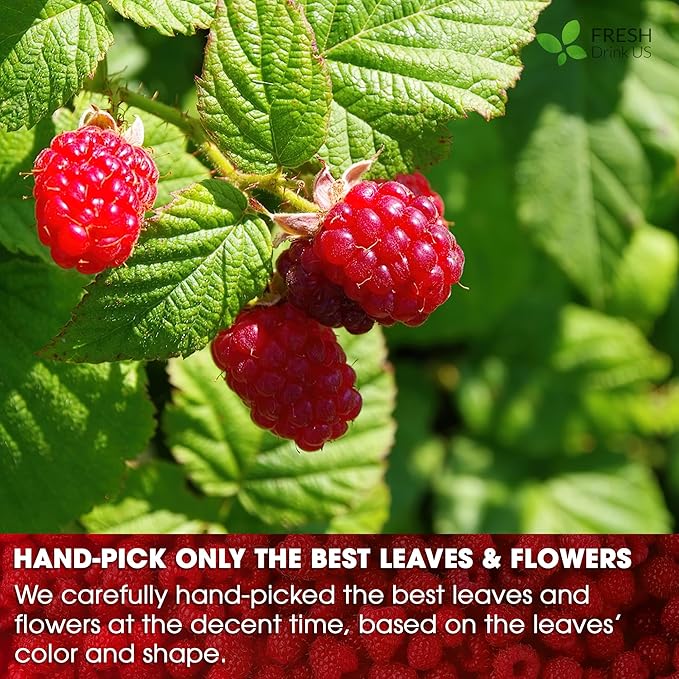 FreshDrinkUS, 75 Bags Premium Raspberry Leaf Teawith Chamomile Flavor, Eases Menstrual Cramps & Supports Healthy Pregnancy, Naturally, Caffeine-Free, Sugar Free, Vegan - Bloomnest
