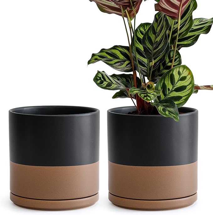D'vine Dev Set of 2 Plants Pots, 8 Inch Ceramic Planter Pot for Plants with Drainage Hole and Saucer, Black/Speckled Tan, 94-V-D-7 - Bloomnest