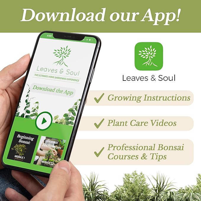 Professional Peace Lily Soil | Large 2.2 Quarts Ready to Use for Peace Lily Plants | Peat Moss, Coco Coir, Perlite, Dolomite | Made in USA - Bloomnest