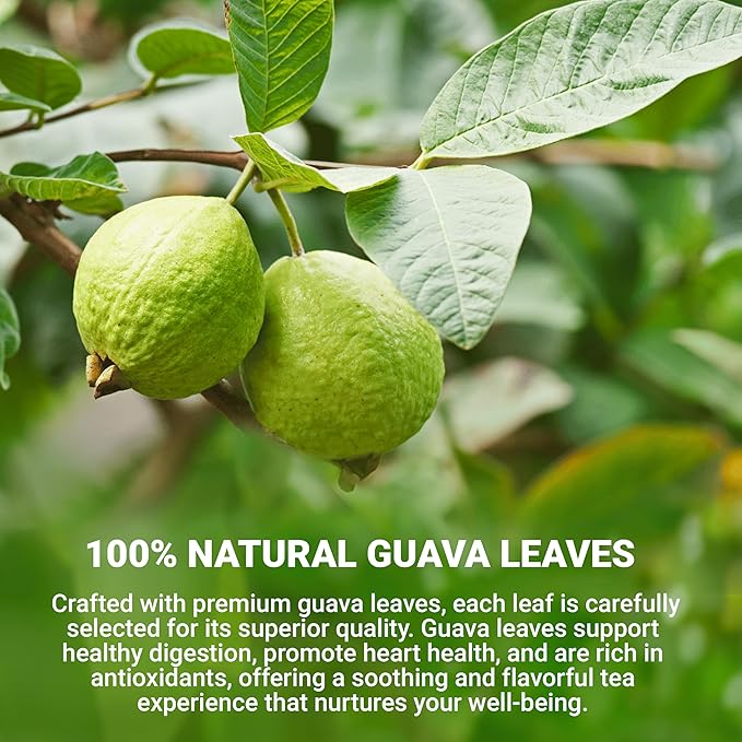 LeafLea Guava Leaf Tea, 80 Fresh-Sealed Tea Bags, Herbal Tea Made from Natural Guava Leaves (Hojas de Guayaba), Digestive Support & Immune Balance, Caffeine-Free, Sugar-Free, Pack of 2 - Bloomnest