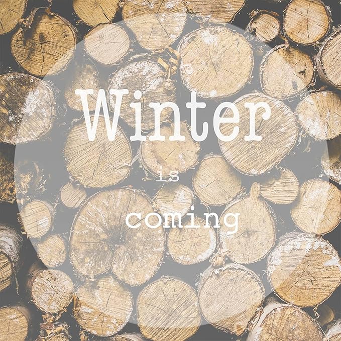 Essential Oils Set, Winter Scents Fragrance Oil Essential Oils for Diffusers for Home - Christmas Wreath, Gingerbread, Fireplace, Cranberry, Forest Pine, Winter Mint Scented Oil, 6x10ml - Bloomnest