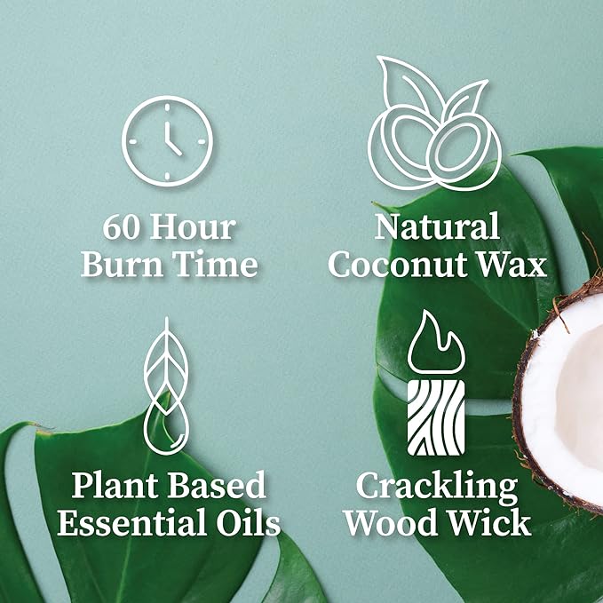 Hemlock Park Crackling Wood Wick Candle Handcrafted with Natural Coconut Wax (Standard 8 oz, Sea Salt Orchid) - Bloomnest