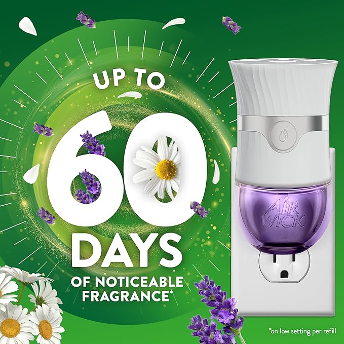 Air Wick Scented Oils 2+6 Lavender & Chamomile - Bloomnest