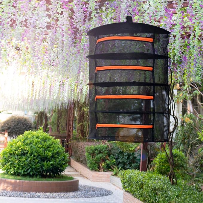 Desy & Feeci Herb Drying Rack-2ft Diameter 4 Layer Folding Mesh Hanging Basket Dryer Net with Zippers for Seeds Flowers Buds Plants Garden Outdoor Bumper Harvest(D24xH31 inch) - Bloomnest