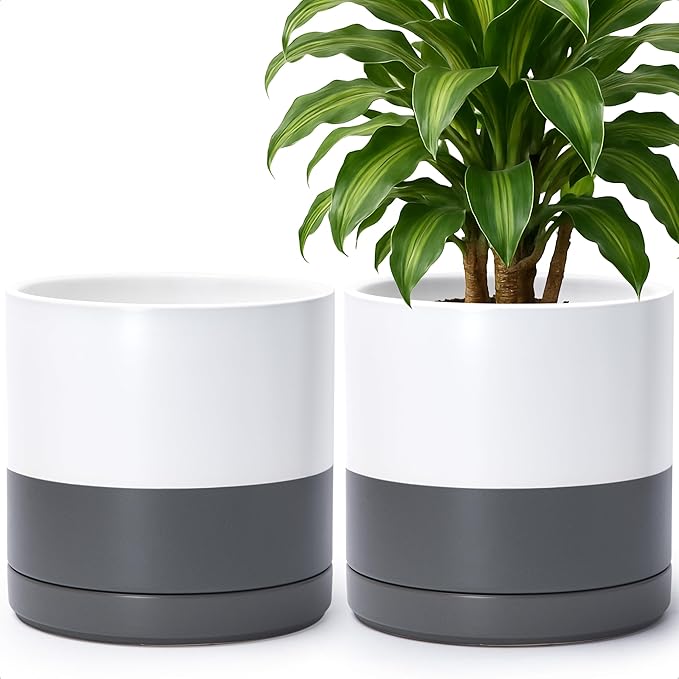 D'vine Dev Set of 2 Plants Pots, 10 Inch Ceramic Planter Pot for Plants with Drainage Hole and Saucer, White/Speckled Grey, 94-V-E-6 - Bloomnest