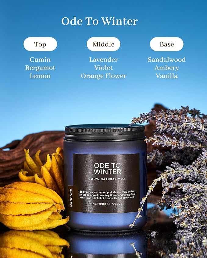 M&SENSE Ode to Winter Scented Candle for Home Natural Soy Wax Non Toxic Cotton Wick Winter Scent, 7.05oz Up to 50 Hours Burn Time Gifts for Christmas Holiday - Bloomnest