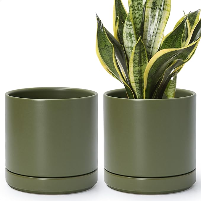 D'vine Dev Set of 2 Plants Pots, 6.5 Inch Ceramic Planter Pot for Plants with Drainage Hole and Saucer, Olive, 94-V-C-J - Bloomnest