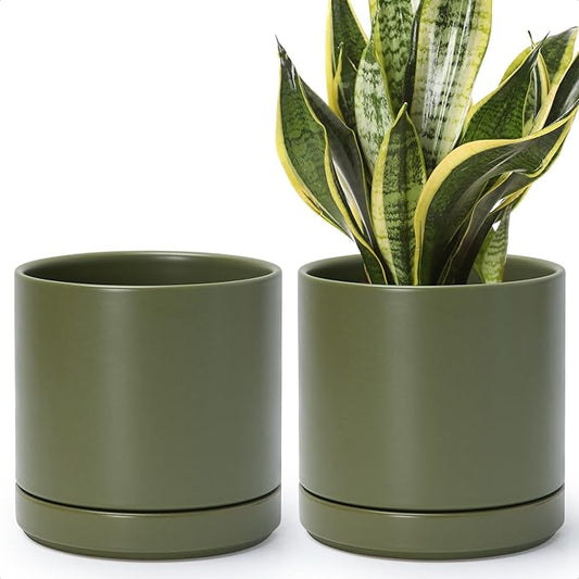 D'vine Dev Set of 2 Plants Pots, 6.5 Inch Ceramic Planter Pot for Plants with Drainage Hole and Saucer, Olive, 94-V-C-J - Bloomnest