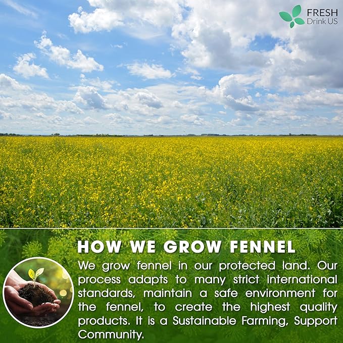 FreshDrinkUS, Premium 135 Fennel Tea Bags, 100% Natural & Pure from Fennel Seeds. Fennel Seed Herbal Tea. Fennel Seed Tea. Made with Natural Material Tea Bags. No Sugar, No Caffeine, No Gluten, Vegan. - Bloomnest