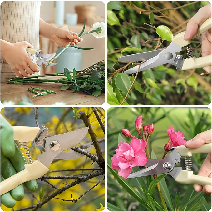 Premium garden shears, meperez pruning scissors gardening tools, pruners for flower, bushes, rose and fruit tree, use for florist, yard and orchard the plant clippers, sharp white steel anvil snips, 2 - Bloomnest