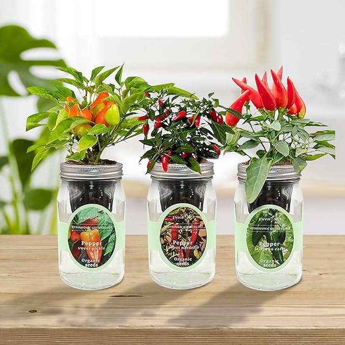 Hydroponic Mason Jar Indoor Garden Organic Seed Starter Kits - Pepper Trio Garden Growing Kits, Gardening Gift (Sweet Nardello Pepper, Jalapeño Early Pepper, Sweet Pickle Pepper)