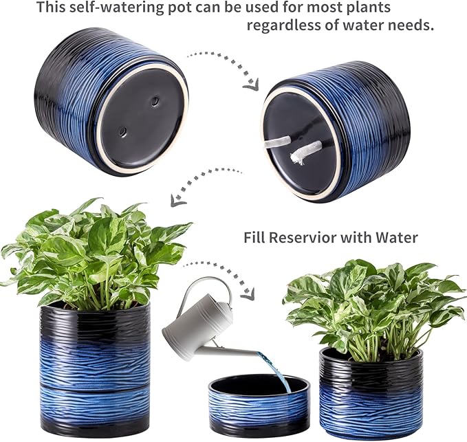 Nihow Self Watering Plant Pot: 6 Inch Ceramic Planter with Drainage Hole & Water Storage Plus for Indoor & Outdoor Plants - Cylinder Round Flower Pot for Succulent/Herbs/Violets - Black & Vivid Blue - Bloomnest
