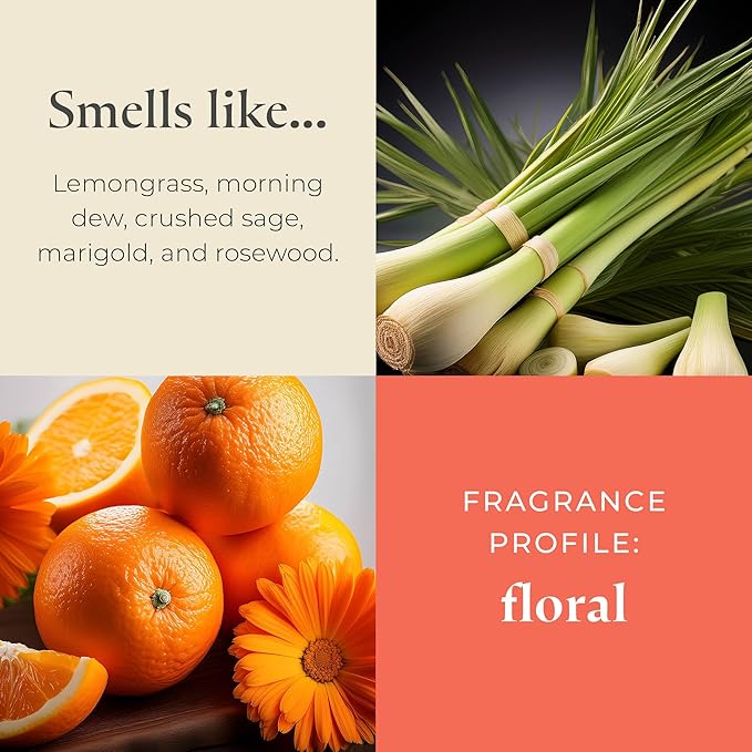 PartyLite Wild Sage & Rosewood Scented, Notes of Sage Leaf, Rosewood, Geranium Petals and Lemongrass, 13.2oz 3-Wick Jar Candle, 45 Hour Burn Time, Luxurious Fragrance, Ideal for Gifting - Bloomnest