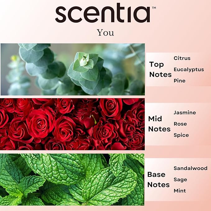 Fierce-Inspired Diffuser Oil - Scentia You Fragrance Oil Perfume Dupe - 20mL, 0.67 Fl oz Diﬀusers and Humidifiers - A and F Inspired Essential Scented Oil - Best for Aromatherapy, Mothers Day Gift Scentia