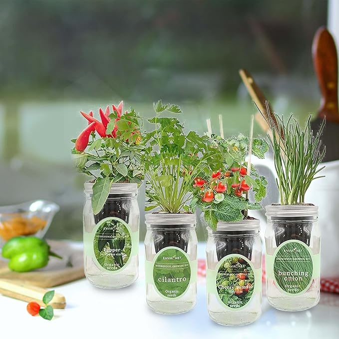 Hydroponic Mason Jar Indoor Garden Organic Seed Starter Kits - Taste of Asia Garden Growing Kits, Gardening Gift (Sweet Nardello Pepper, Mint, Thai Basil, Cilantro) - Bloomnest