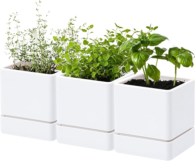 4 Inch Herb Planter Pot, Plastic Planter with Drainage Holes and Saucer, Modern Decorative Gardening Pot for Indoor Plants, Flowers, Herbs, Succulents, White, Set of 3, 76-Y-A-3 - Bloomnest