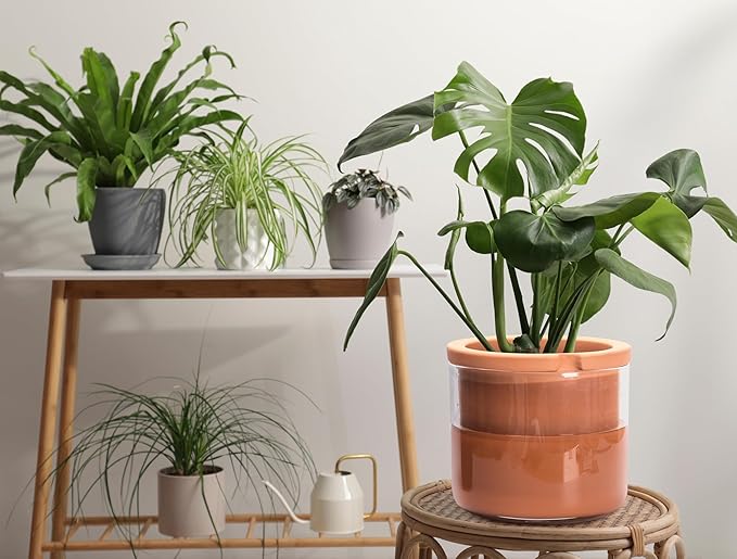 Phoenix Vine 8 Inch Self Watering Planter Pots, Design White Terracotta Pots for Plants, Indoor Cylinder Terra Cotta Pots with Glass Vase, Set of 1, 51-A-H-1 - Bloomnest