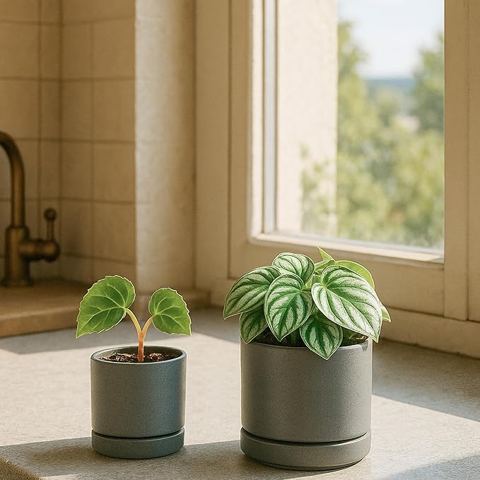 D'vine Dev 3.5 Inch & 4.7 Inch Ceramic Planter Pots for Plants with Drainage Hole and Saucer, X-Small Plant Pots Set, Speckled Grey, 94-G-XS-3 - Bloomnest