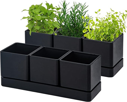 D'vine Dev Herb Garden Planter Set, Plastic Plant Pots with Drainage and Saucer, Indoor Succulent Cactus Vegetable Pot for Windowsill, Garden Balcony, Black, Set of 2, 76-V-B-2 - Bloomnest