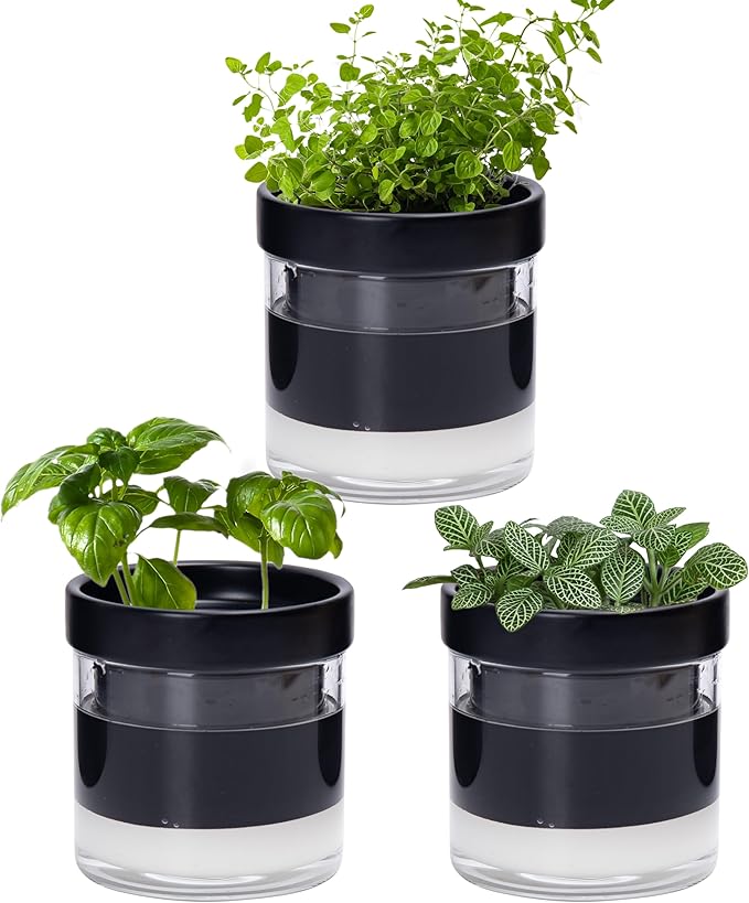 Phoenix Vine 4 Inch Self Watering Planter Pot, Black Terracotta Clay Pot with Glass Reservoir for Indoor Plants, Herbs, Flowers, Set of 3, 52-C-E-3 - Bloomnest