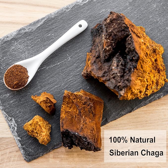 TEARELAE - Chaga Tea - 2g x 40 Count - Wild Harvest from Siberia - 100% Pure Natural Chaga Mushroom Tea Bag - Additive-Free - Non-GMO - Caffeine-free (Pack of 2) - Bloomnest