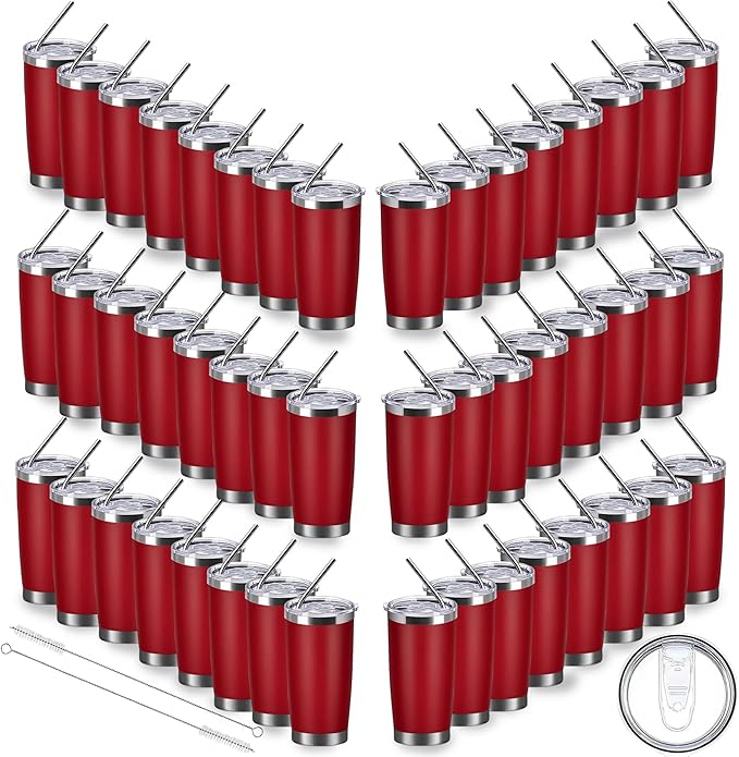 20oz insulted tumblers stainless steel cup Tumbler Bulk with push Lid, and metal straw powder coated coffee cup for cold and hot drinking (48, red) - Bloomnest